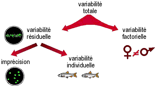 Tableau de variabilités