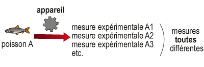 Un individu mesuré plusieurs fois donnera des mesures différentes à chaque fois