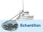 Echantillon