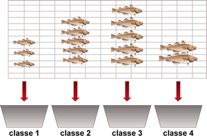 Tri des poissons en fonction de leur poids