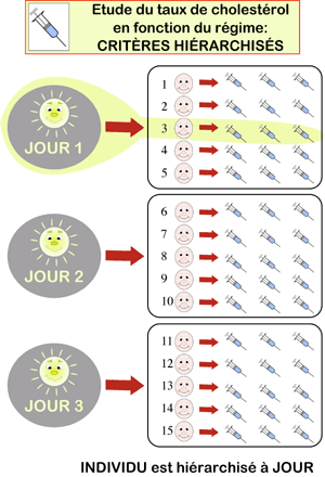 Etude du taux de cholestérol en fonction du régime (CRITERES HIERARCHISES)