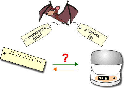 Comparaison du poids d'une chauve-souris par rapport à son envergure