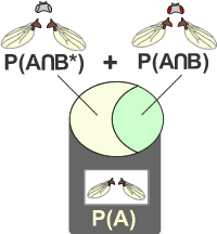 Intersections P(A)