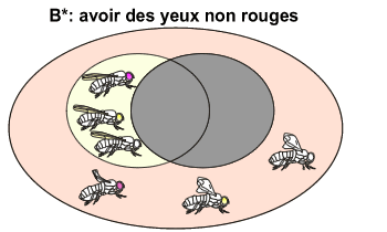 Avoir des yeux non rouges