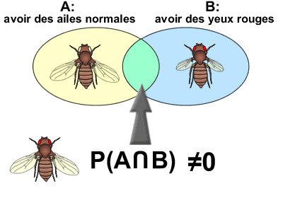 Evènements compatibles