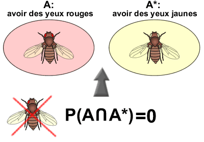 Evènements incompatibles