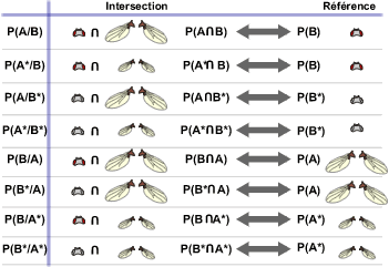 Différents types de probabilités conditionnelles